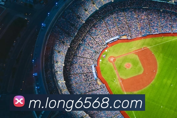 龙8-long8(国际)官方网站APP 封面图